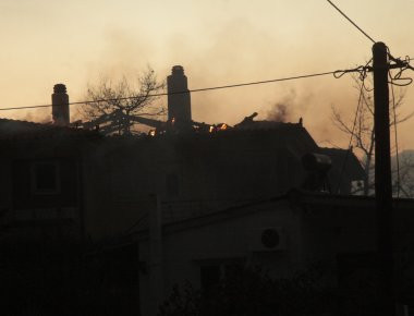 Ωρωπός: Η Περιφέρεια Αττικής «μετράει τις πληγές» της μετά την καταστροφική πυρκαγιά